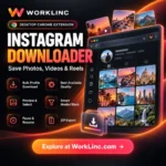 Instagram Bulk Downloader