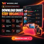 Instagram Bulk Downloader - Image 3