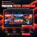 Instagram Bulk Downloader - Image 2